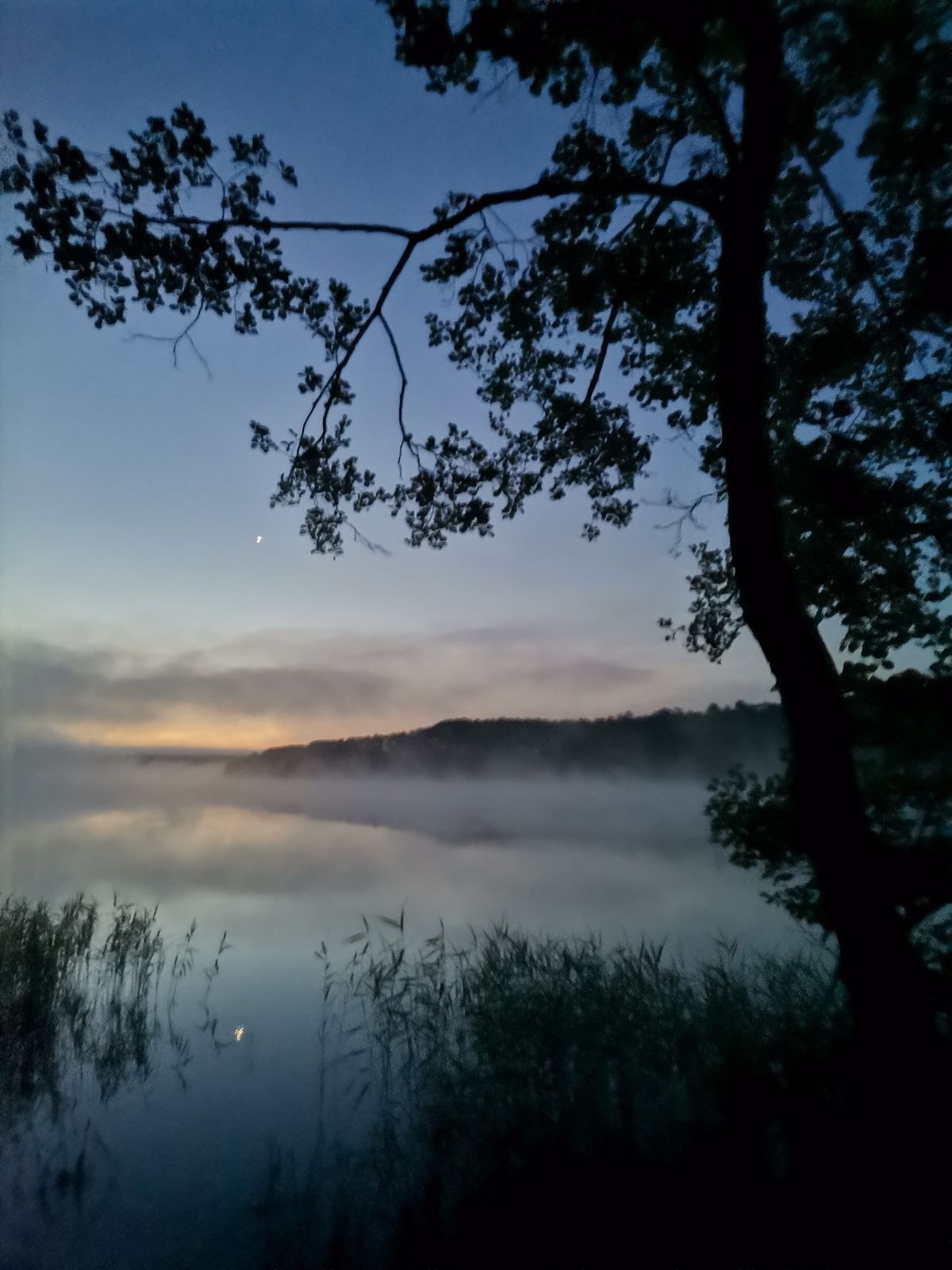 Letni poranek nad jeziorem Wiartel