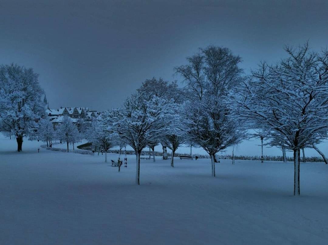 Winter Promenade