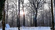 Goniec za zdjęcie: Piasty Wielkie