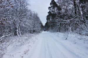 Prenumerata za zdjęcie: zima w okolicy Bielic od Eweliny Otremby 