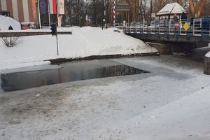 Pani Krystyna uratowała kaczki na Kanale Łuczańskim