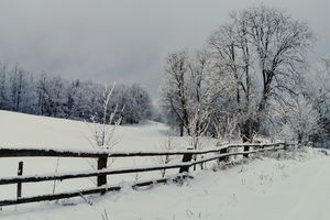 Prenumerata za zdjęcie: Barciszewo