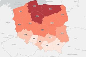 21 potwierdzonych przypadków koronawirusa i 545 osób na kwarantannie w powiecie szczycieńskim 
