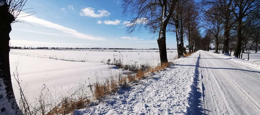 Zimowy spacer — Rozgart (powiat elbląski, gmina Gronowo Elbląskie)