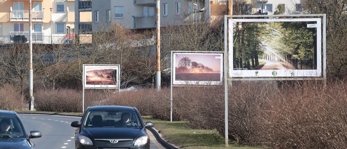 Kilka billboardów z fotografiami drzew pojawiło się przy ulicy Synów Pułku