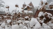 W weekend wypada pierwszy dzień wiosny. Czy pojawi się na Warmii i Mazurach? [ZDJĘCIA]