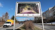 Olsztyn stał się społeczną galerią sztuki