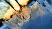 Paustry: zima nie odpuszcza