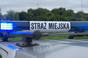 Zostań Strażnikiem Miejskim