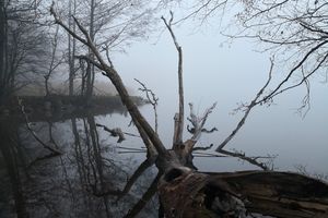 Gazeta za zdjęcie: Jezioro udekorowane mgłą