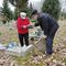 Po dewastacji cmentarza. Rodzice naprawiają groby swoich dzieci