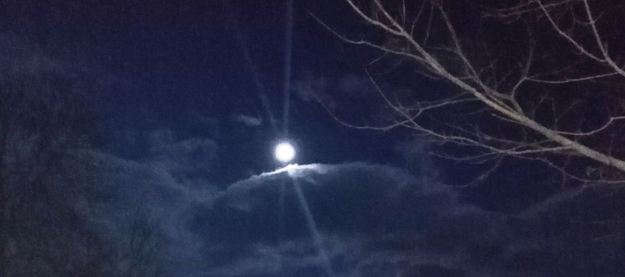 Księżyc nad Grotowem