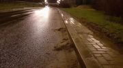 Służby miejskie informują: trwa mechaniczne zamiatanie ulic w Olsztynie. ZDZiT ma też prośbę do mieszkańców