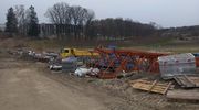 Interwencja: po gruszowych sadach zostały tylko gruszowe pieńki...