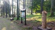 Wiosna w Leśnym Arboretum. To trzeba zobaczyć
