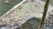 Śmieci nie toną, za to Łyna tonie w śmieciach