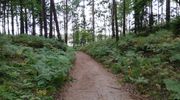 Odetchnąć pełną piersią