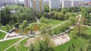 Zielony Olsztyn zachęca: wybierzmy nowe pomniki przyrody