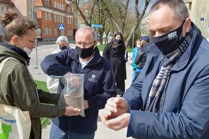 Łąki kwietne to same zalety!