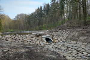 Stawy zatrzymają wodę w giżyckim lesie