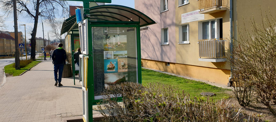 Prace Przemysław Kocha umilają czas pasażerom komunikacji miejskiej
