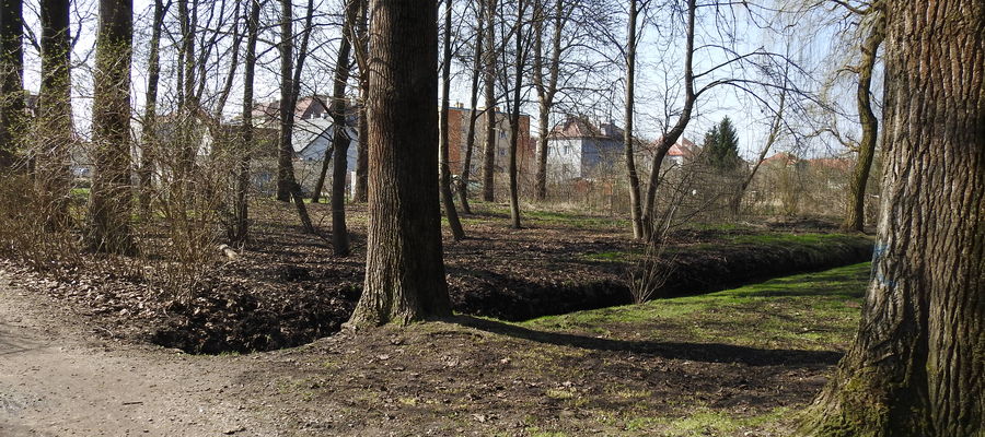 Wybieg dla psów miałby znaleźć się w niezagospodarowanej części Parku Gregoroviusa