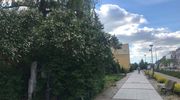 Fotomigawka: Tniemy, żeby było widać?