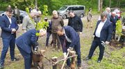 Łączą nas drzewa. Akcja dotarła na Warmię i Mazury
