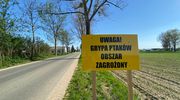 Ptasia grypa to dramat wielu hodowców
