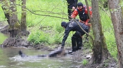 Tajemnicza śmierć w Łynie. Rowerzysta znalazł ciało