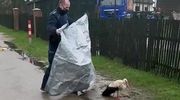 Policjanci uratowali rannego bociana