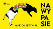 Latem nie będziemy się nudzić. MOK zaprosił do Olsztyna m.in. Darię Zawiałow, Kult i Krzysztofa Cugowskiego