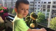 Mały Książę: Antoni Urbanowicz 
