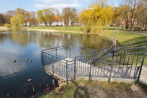 W Olsztynie zasadzą nowe drzewa
