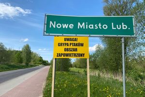 Coraz więcej miejscowości zagrożonych ptasią grypą