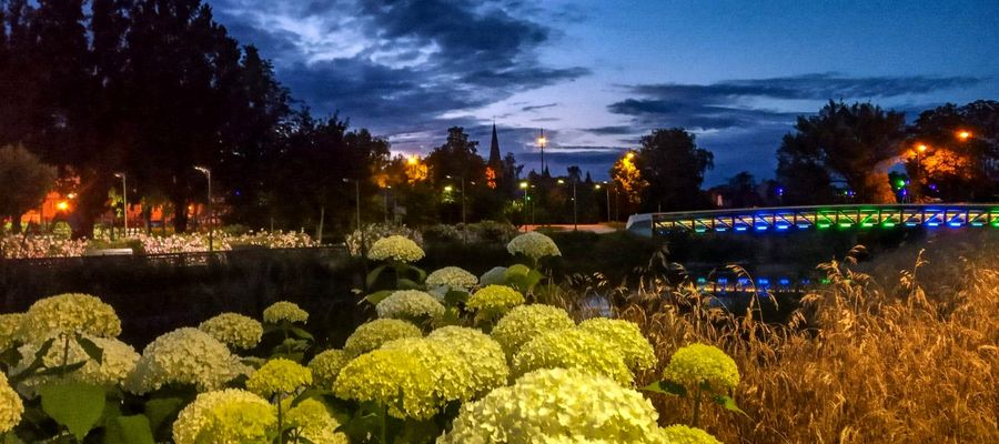 Wspomnienie lata, promenada Ełk