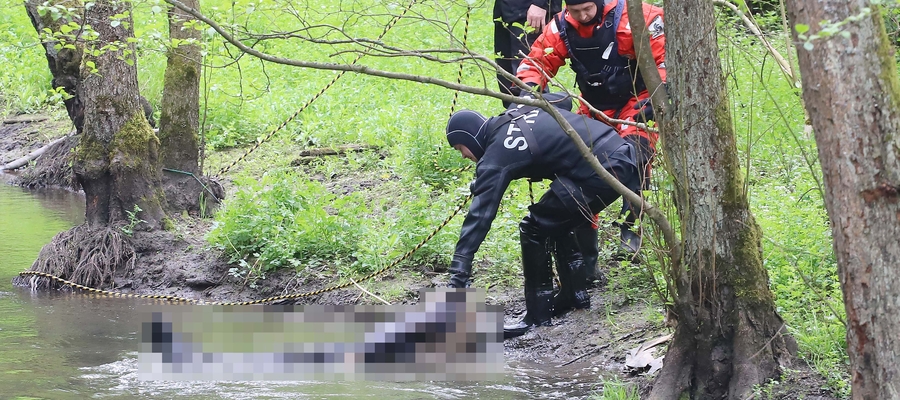 Topielca zauważył rowerzysta i powiadomił służby ratunkowe