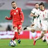 Były piłkarz reprezentacji Polski Grzegorz Krychowiak zakończył karierę
