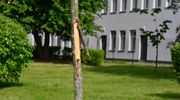 Wandale zdewastowali otoczenie nowego centrum w Barczewie. Policja szuka winnych