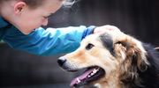 Który najpiękniejszy? Zaglądamy do "nie tylko" Psiego Raju [GALERIA]