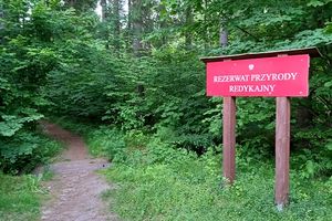 Rezerwat przyrody Redykajny został powiększony