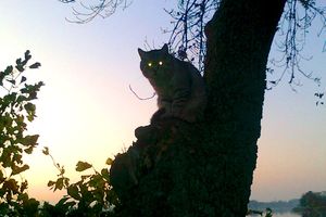 Wymień zdjęcie na e-wydanie!