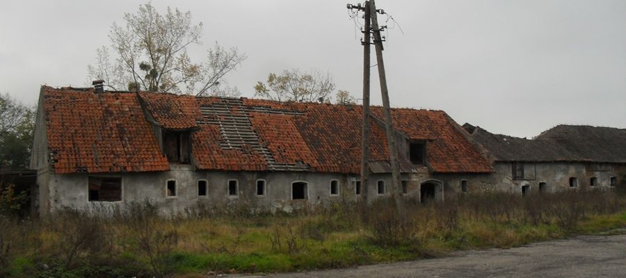 zdjęcie ilustracyjne