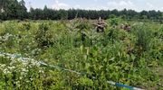 Mieszkańcy wciąż ufają swojemu proboszczowi