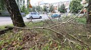 Kto posprząta skwer w środku Olsztyna?