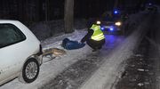 Wypadek podczas kuligu. Kierowca usłyszał zarzuty