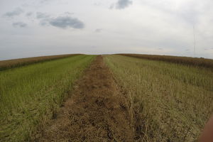 Sposoby na zwiększenie żyzności słabych gleb w Polsce