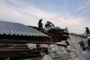 Powiat braniewski: silny wiatr powalił drzewa i uszkodził budynek w gminie Wilczęta