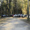 40 aut źle zaparkowanych nad Jeziorem Hartowieckim
