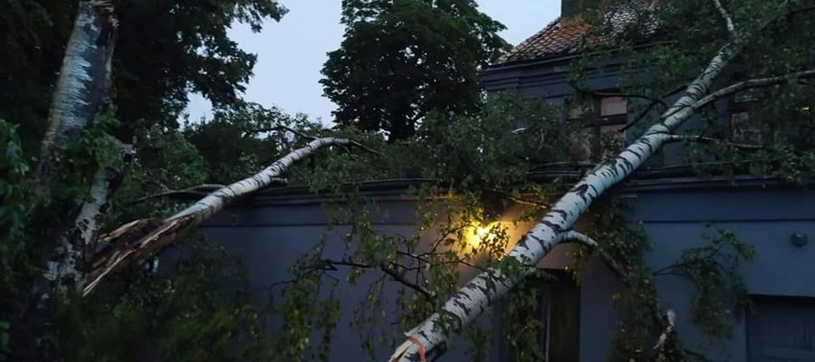 Zdjęcie jest ilustracją do tekstu 